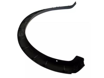 Ford 4L3Z-9929165-CAPTM