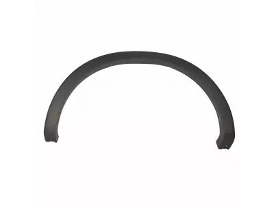 Ford 4L3Z-9929165-CAPTM