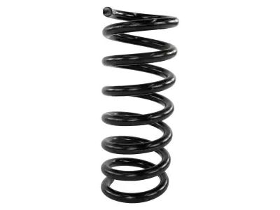 2019 Ford Police Responder Hybrid Coil Springs - HG9Z-5560-D