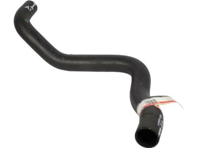 Ford BB5Z-8286-G Radiator Hose BB5Z-8286-G Ford Radiator Hose Product Photo 1 of 3