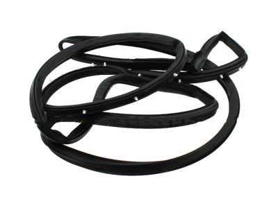 2004 Ford E-450 Super Duty Weather Strip - F4UZ-1525324-B