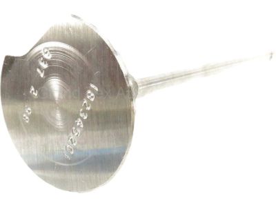 2003 Ford F-350 Super Duty Intake Valve - F4TZ-6507-B