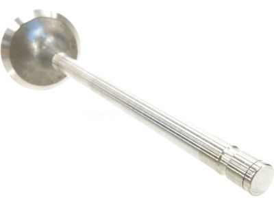 2003 Ford F-350 Super Duty Intake Valve - F4TZ-6507-B