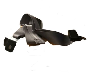 2000 Ford F-150 Seat Belt - F85Z-15612B19-GGG