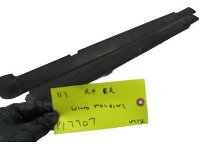 2000 Ford Expedition Door Seal - YL3Z-7821452-BA