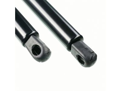 Ford Expedition Lift Support - 6L1Z-78406A10-AA