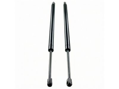 Ford Expedition Lift Support - 6L1Z-78406A10-AA