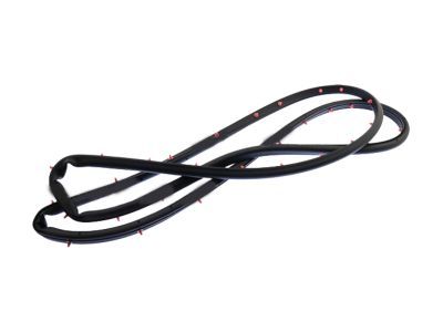 Ford Fusion Weather Strip - DS7Z-5420531-C