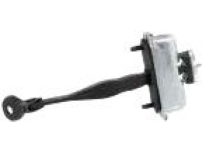 DP5Z-5427204-A Ford Door Check Assembly Product Photo 1 of 2