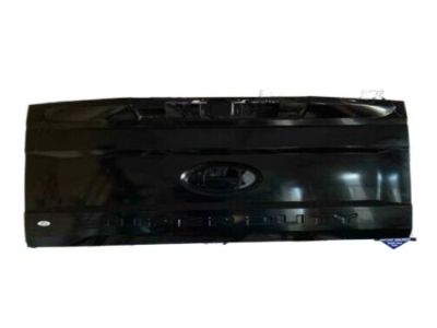 Ford HC3Z-9940700-A Tailgate Assembly