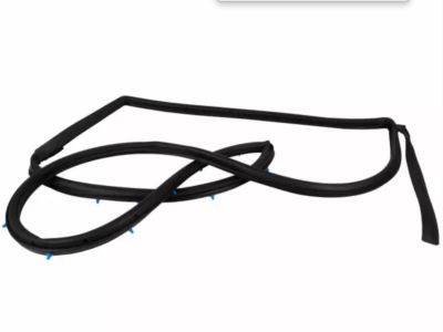 Ford CE8Z-58253A11-F