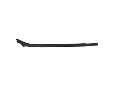 2019 Ford F-350 Super Duty Weather Strip - FL3Z-1625596-C