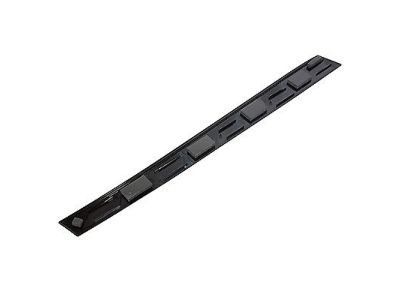 Ford DP5Z-5451969-A Panel - Roof Trim - Centre