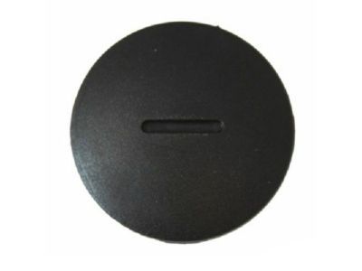 Ford -W708656-S300 Pin