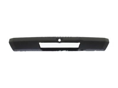 2017 Ford F-450 Super Duty Tailgate Handle - HC3Z-9943400-BA