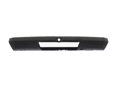 2017 Ford F-550 Super Duty Tailgate Handle - HC3Z-9943400-BA