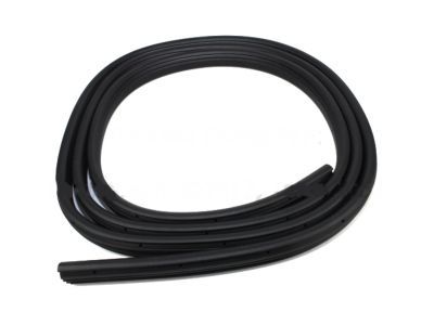 2005 Ford F-350 Super Duty Weather Strip - 3C3Z-2820708-AB