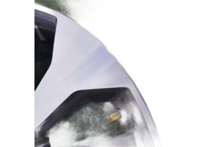 HL3Z-1007-C Ford Wheel Assembly Product Photo 5 of 6