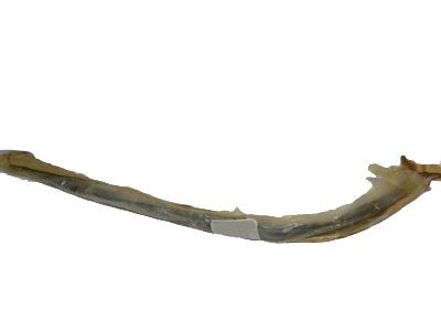 Ford BE8Z-5450462-A Moulding - Roof Side Trim