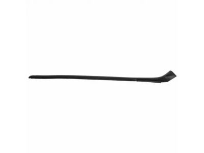 2L1Z-7851692-AB Ford Moulding - Roof Drip Rail Finish Product Photo 2 of 3