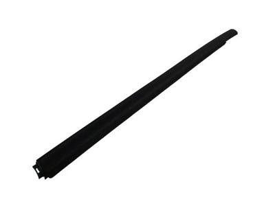 Ford EcoSport Door Seal - CN1Z-7425861-G