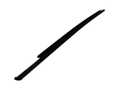 Ford EcoSport Door Seal - CN1Z-7425861-G