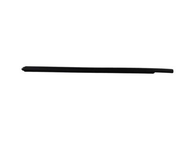 Ford EcoSport Door Seal - CN1Z-7425861-G