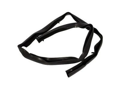 2002 Ford F-350 Super Duty Weather Strip - F81Z-16A238-AA