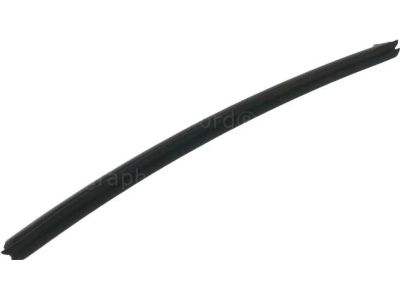 Ford SSV Plug-In Hybrid Weather Strip - DS7Z-5425861-B