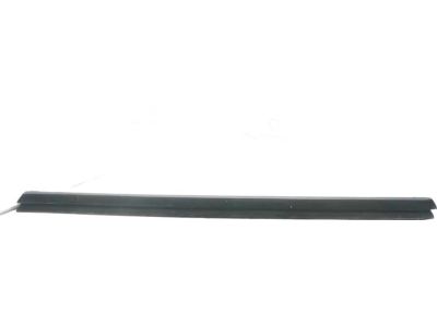 Ford SSV Plug-In Hybrid Weather Strip - DS7Z-5425861-B
