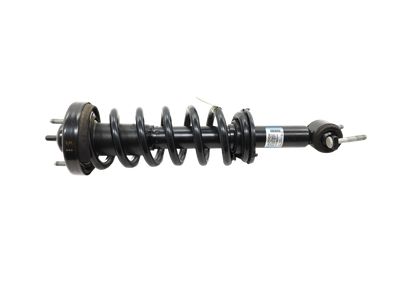 Ford Expedition Coil Springs - JL1Z-5310-W