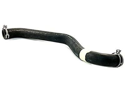 2004 Ford Expedition Radiator Hose - 4L1Z-8260-AA