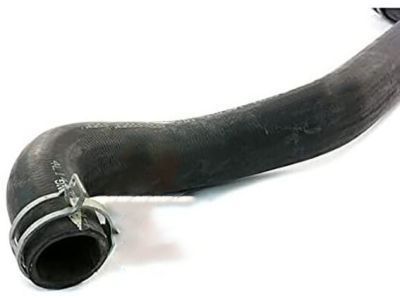 Ford 4L1Z-8260-AA Hose Assembly