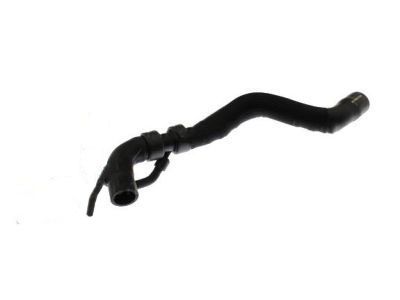 Lincoln MKS Cooling Hose - AA5Z-8A505-B