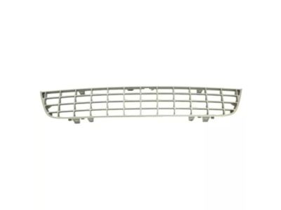 2003 Ford Expedition Grille - 2L1Z-17D635-AAA