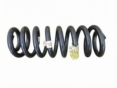 Ford E-450 Super Duty Coil Springs - F2UZ-5310-K