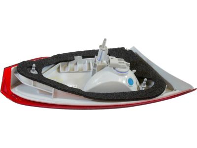 Ford Focus Back Up Light - BM5Z-13404-B