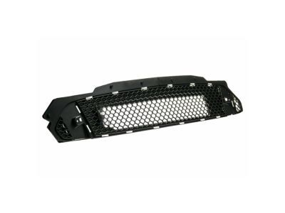 Ford FR3Z-8200-AB Grille Assembly - Radiator