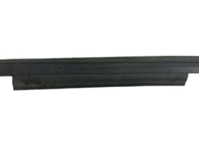 Ford AM5Z-5810176-C Moulding