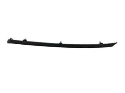 Ford F8VZ-5451728-AA Moulding