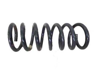 Ford DG9Z-5560-B Spring - Rear