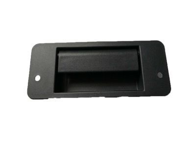Ford E-350/E-350 Super Duty Door Handle - F2UZ-1543401-A