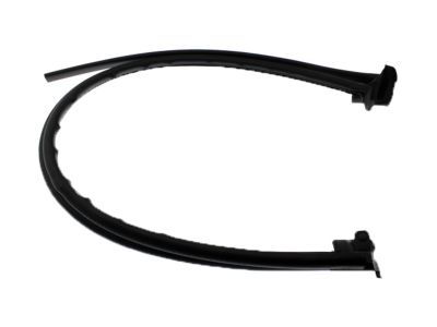 2002 Ford F-250 Super Duty Door Seal - F81Z-28253A36-AA