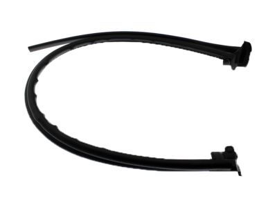 2002 Ford F-350 Super Duty Weather Strip - F81Z-28253A36-AA