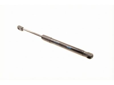 Lincoln Lift Support - 7E5Z-54406A10-B