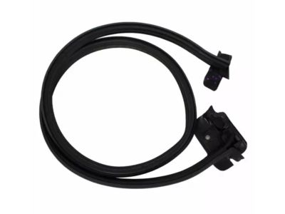 Ford CK4Z-1525325-C Weatherstrip CK4Z-1525325-C Ford Weatherstrip Product Photo 1 of 3