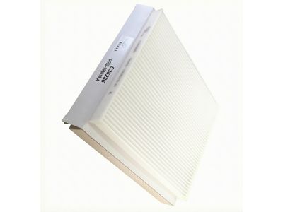 Ford Edge Cabin Air Filter - DG9Z-19N619-A