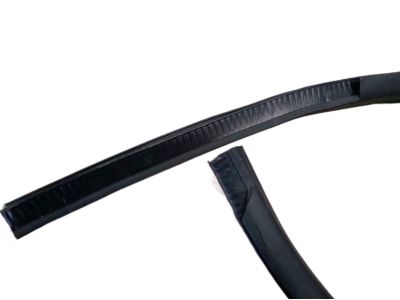 Ford BL3Z-16253A10-A Weatherstrip Assembly - Door Opening