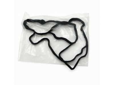 Ford F-150 Oil Pan Gasket - JT4Z-6710-A