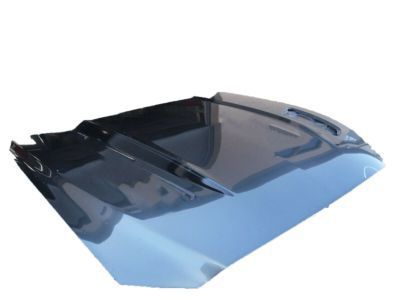 Ford FR3Z-16612-C Hood Assembly